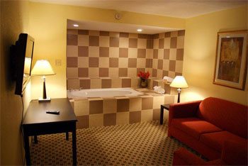Surestay by Best Western DFW Airport North , TX 75034 near Dallas-fort Worth International Airport View Point 4