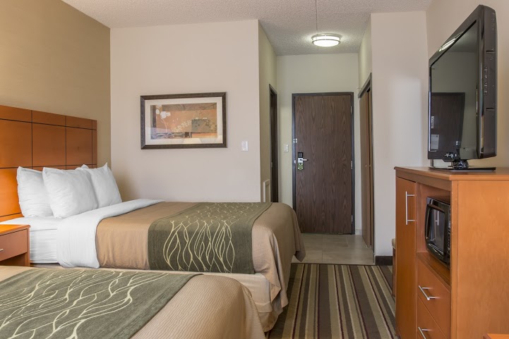 Comfort Inn Metro Airport Romulus , MI 48174 near Detroit Metropolitan Wayne County Airport View Point 7