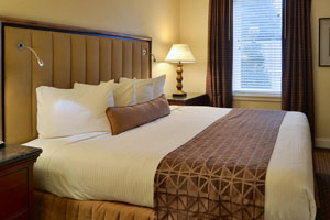 Radisson Hotel Atlanta Airport