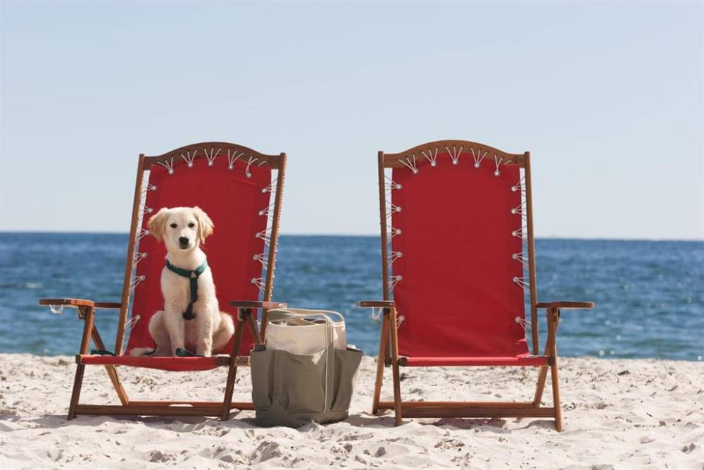 Inn By The Sea 2
